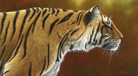 Framed Tense Tiger Print