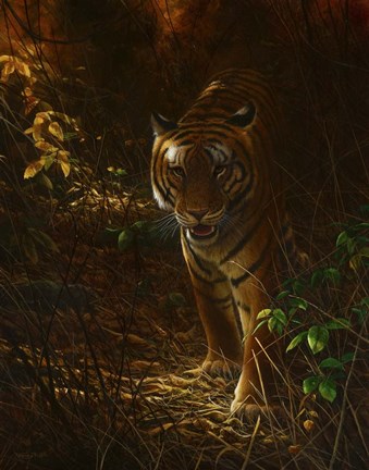 Framed Tiger Odyssey Print