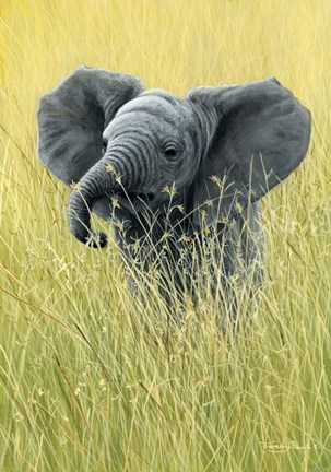Framed Elephant In The Grass Print