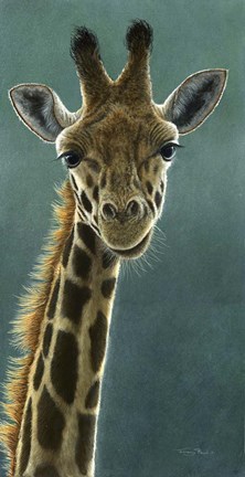 Framed Giraffe Beauty Print