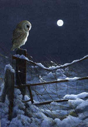 Framed Silent Night Barn Owl Print
