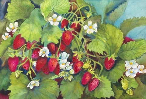 Framed Strawberry Patch - A. Ripe on the Vine Print