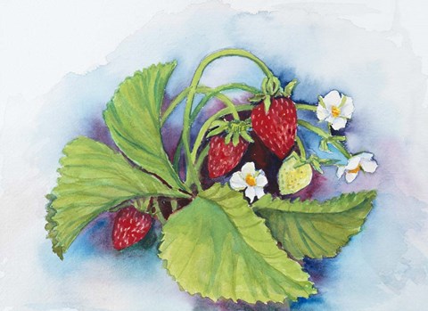 Framed Strawberry Patch - E. Sample Berries Print