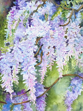 Framed Wisteria Print