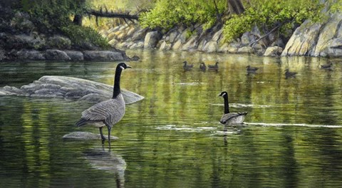 Framed Border Patrol Print