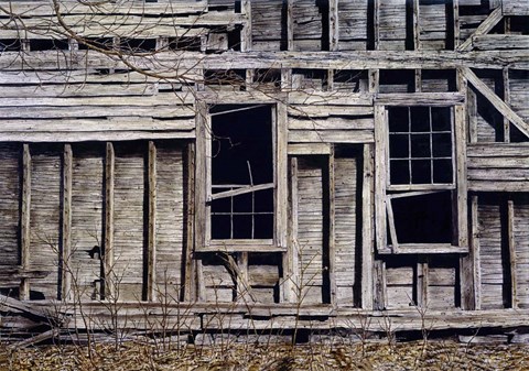 Framed Dust to Dust Print