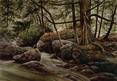 Framed Forest Intrigue Print