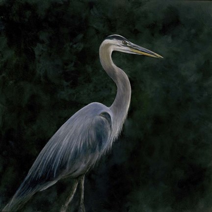 Framed Night Stalker Print