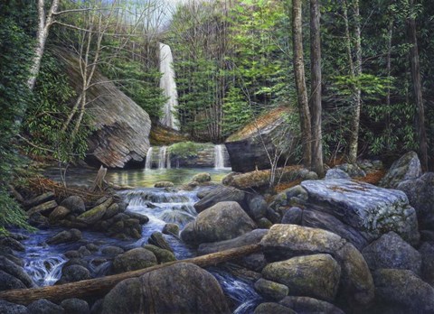 Framed Ozone Falls Print