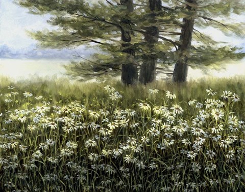 Framed River Daiseys Print