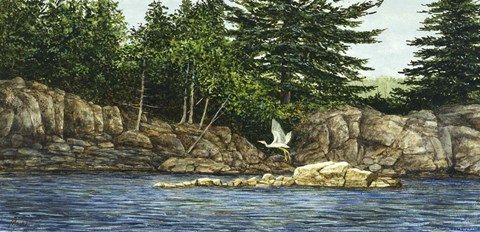 Framed River Flight Print