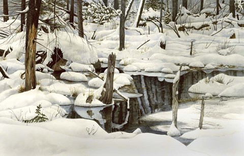 Framed Simplicity in Detail Print