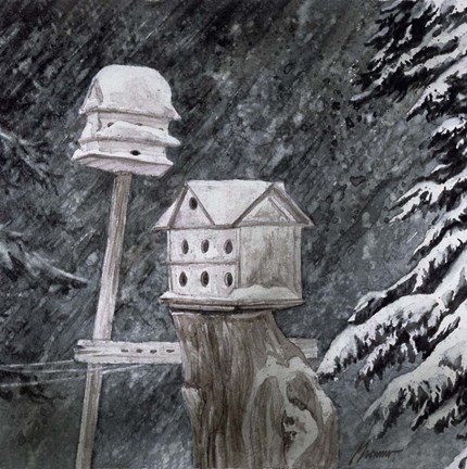 Framed Snow Birds Print