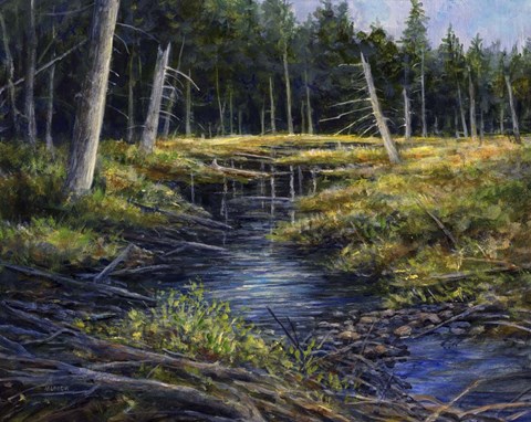 Framed This Land Print