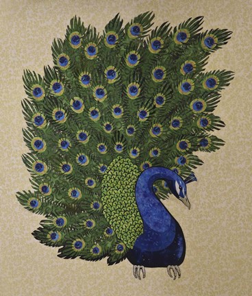 Framed Peacock Stitched Print