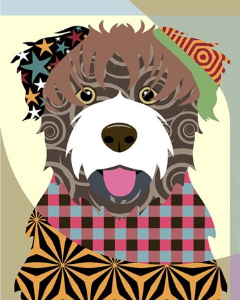 Framed Bouvier Des Flandres Print