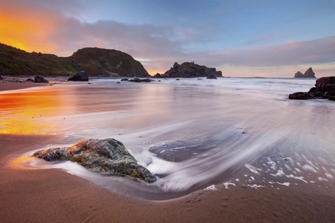 Framed Citrus Sunrise Print