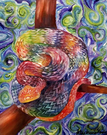 Framed Rainbow Snake Print