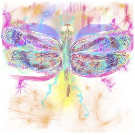 Framed Dragonfly Print