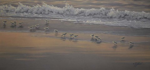 Framed Morning Surf And Sanderlings Print