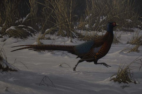 Framed Strauch Pheasant Print