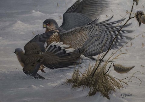 Framed Sudden Impact Print