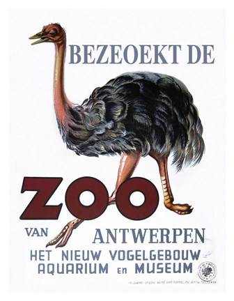 Framed Bezeoekt de Zoo Print