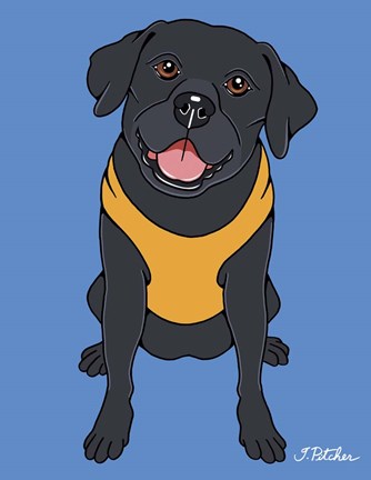 Framed Labrador Black Print