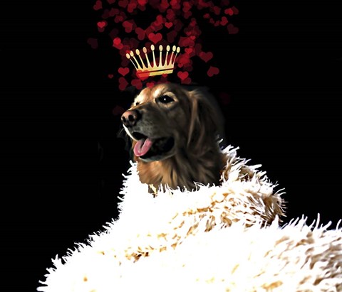 Framed Royal Love Pup - Golden Retriever Print