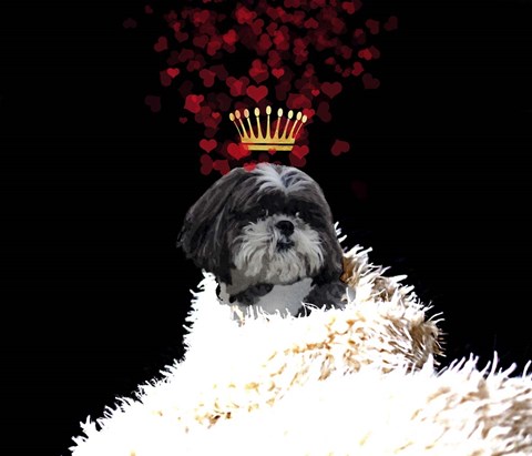 Framed Royal Love Pup - Shi Tzu Print