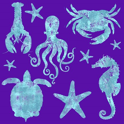 Framed Sponge Marine Life Grouping Print