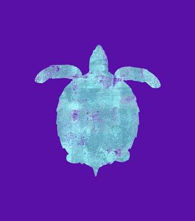 Framed Sponge Turtle Aqua Print