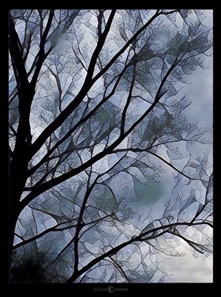Framed Misty Tree Print