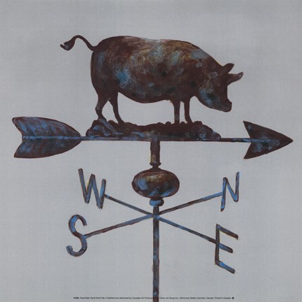 Framed Rural Relic Pig Print