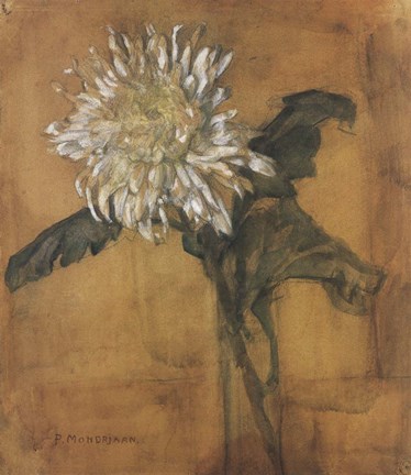 Framed Chrysanthemum Print