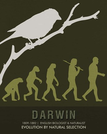 Framed Darwin Print