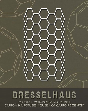 Framed Dresselhaus Print