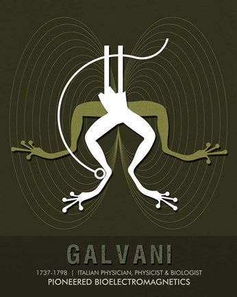 Framed Galvani Print