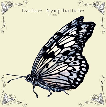 Framed Butterfly Lydiae Nymphaliide Profile Print