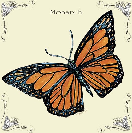 Framed Butterfly Monarch Print
