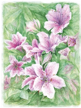 Framed Pink Azaleas Watercolor Print