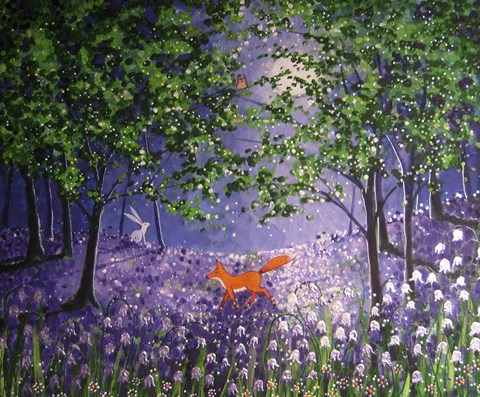 Framed Midnight In The Bluebell Wood Print