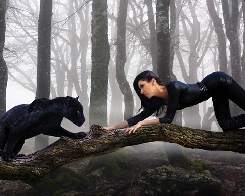 Framed Black Jaguar Print