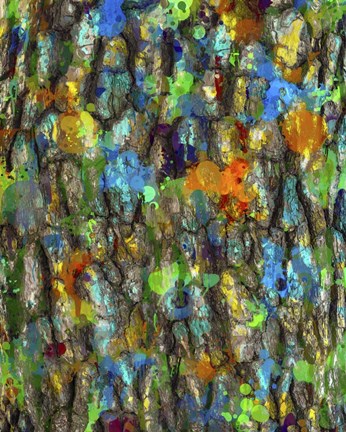 Framed Colortree Print