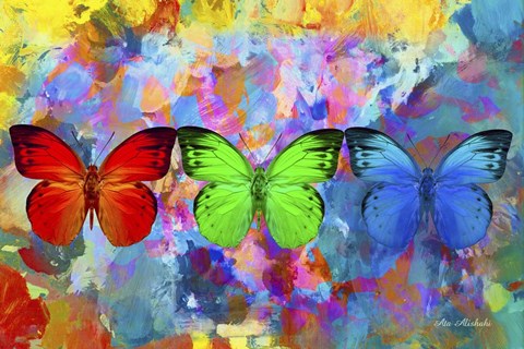 Framed Red, Green &amp; Blue Print