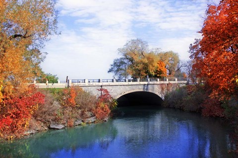 Framed Autumn 2 Print