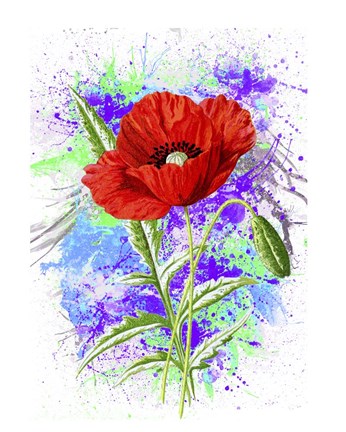 Framed Poppy Flowers Print