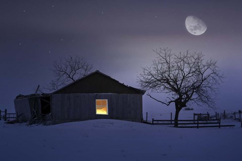 Framed Winter Night Print