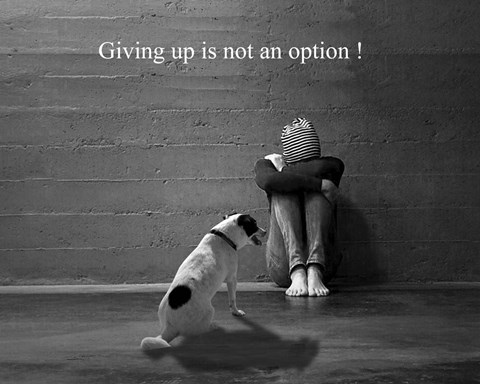 Framed Don&#39;t Give Up Print