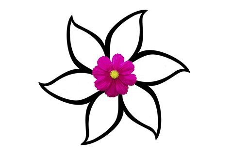 Framed One Pink Flower Print